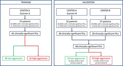 A Fully Automatic Artificial Intelligence System Able to Detect and Characterize Prostate Cancer Using Multiparametric MRI: Multicenter and Multi-Scanner Validation